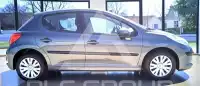 2009 Peugeot 207