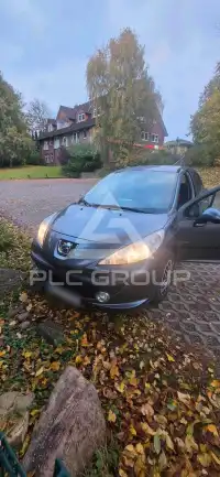 2009 Peugeot 207