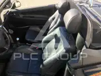 2009 Peugeot 207