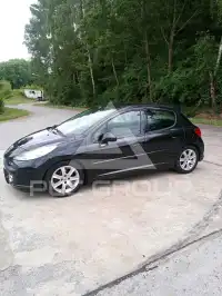 2009 Peugeot 207