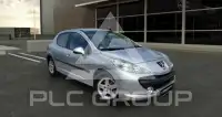 2009 Peugeot 207