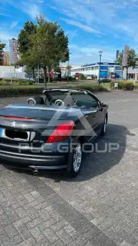 2009 Peugeot 207