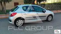 2009 Peugeot 207