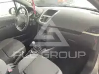 2009 Peugeot 207