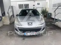 2009 Peugeot 207