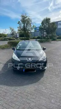 2009 Peugeot 207