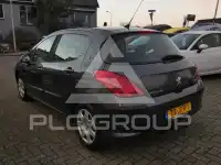 2009 Peugeot 308