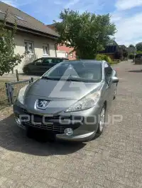 2009 Peugeot 207
