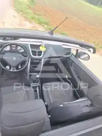 2009 Peugeot 207