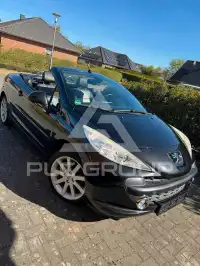 2009 Peugeot 207