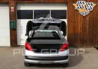 2009 Peugeot 207