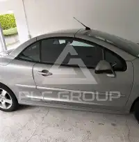 2009 Peugeot 207