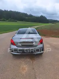 2009 Peugeot 207