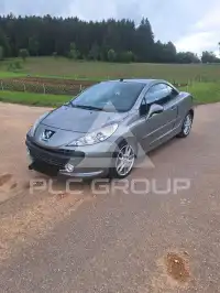 2009 Peugeot 207