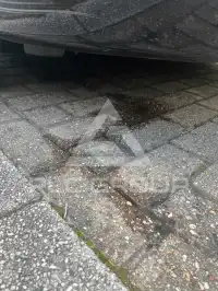 2009 Ford FOCUS