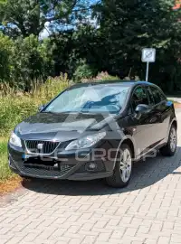 2009 Seat Ibiza