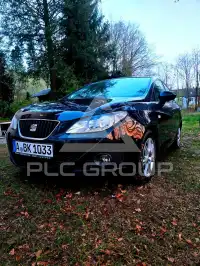 2009 Seat Ibiza