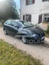 2009 Seat Ibiza