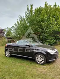 2009 Opel Tigra