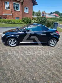 2009 Opel Tigra