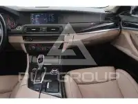 2010 BMW 523