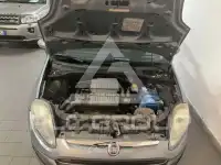 2010 Fiat Punto