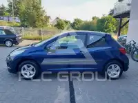 2010 Peugeot 207