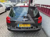 2010 Peugeot 207