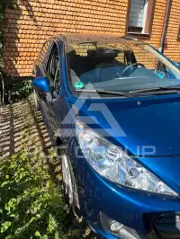 2010 Peugeot 207