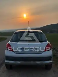 2010 Peugeot 207