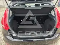 2010 Ford FIESTA