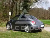 2010 Volkswagen BEETLE