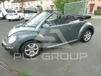 2010 Volkswagen BEETLE