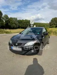 2010 Seat Ibiza