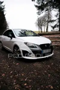 2010 Seat Ibiza