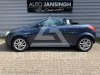 2010 Opel Tigra