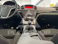 2010 Opel Insignia