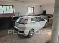 2011 Fiat Punto