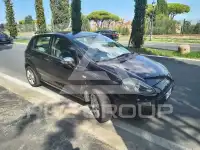2012 Fiat Punto