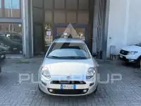 2012 Fiat Punto