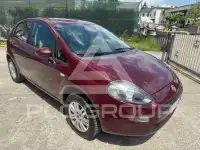 2012 Fiat Punto