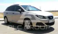 2012 Seat Ibiza