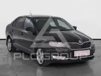 2013 Skoda Rapid