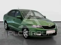 2013 Skoda Rapid