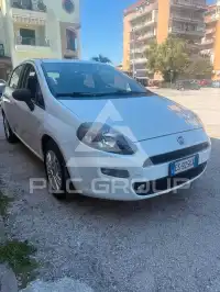 2013 Fiat Punto