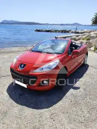 2013 Peugeot 207