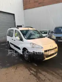 2013 Peugeot Partner
