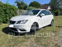 2013 Seat Ibiza