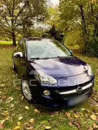 2013 Opel Adam