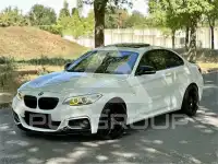 2014 BMW 218
